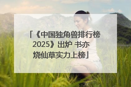 《中国独角兽排行榜2025》出炉 书亦烧仙草实力上榜