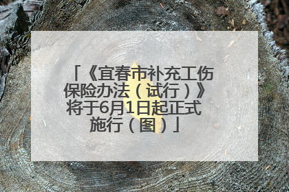 《宜春市补充工伤保险办法（试行）》将于6月1日起正式施行（图）