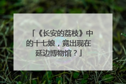 《长安的荔枝》中的十七娘，竟出现在延边博物馆？