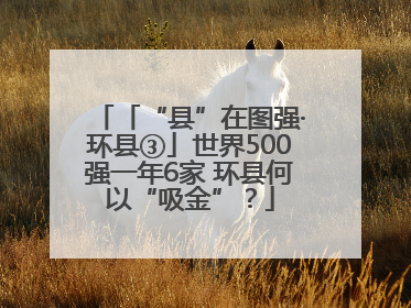 「“县”在图强·环县③」世界500强一年6家 环县何以“吸金”？