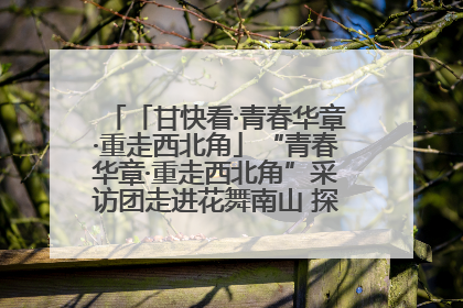 「甘快看·青春华章·重走西北角」“青春华章·重走西北角”采访团走进花舞南山 探寻天水乡村振兴之路