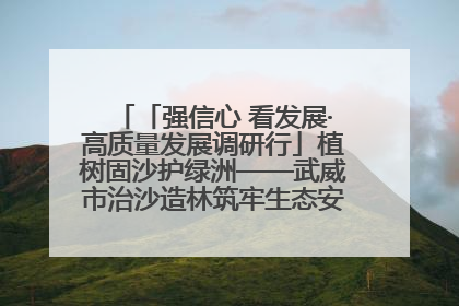「强信心 看发展·高质量发展调研行」植树固沙护绿洲——武威市治沙造林筑牢生态安全屏障见闻