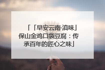 「早安云南·滇味」保山金鸡口袋豆腐：传承百年的匠心之味