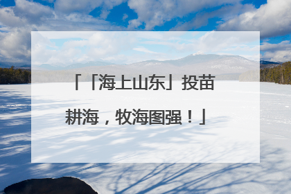 「海上山东」投苗耕海，牧海图强！