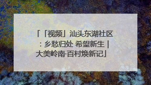 「视频」汕头东湖社区：乡愁归处 希望新生｜大美岭南·百村焕新记