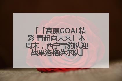「高原GOAL精彩 青超向未来」本周末，西宁雪豹队迎战果洛格萨尔队