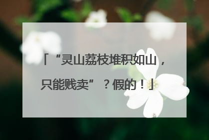 “灵山荔枝堆积如山，只能贱卖”？假的！