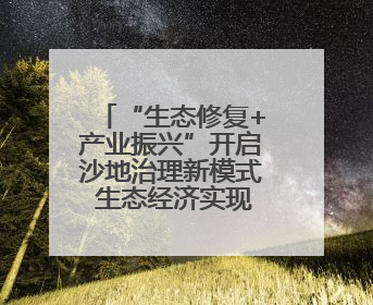 “生态修复+产业振兴”开启沙地治理新模式 生态经济实现双效益