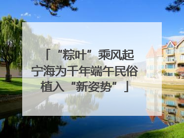 “粽叶”乘风起 宁海为千年端午民俗植入“新姿势”