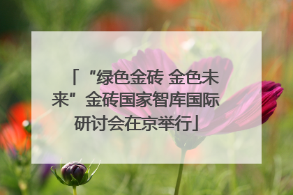 “绿色金砖 金色未来”金砖国家智库国际研讨会在京举行