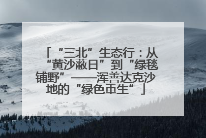 “三北”生态行：从“黄沙蔽日”到“绿毯铺野”——浑善达克沙地的“绿色重生”