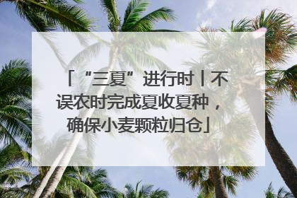 “三夏”进行时丨不误农时完成夏收夏种，确保小麦颗粒归仓