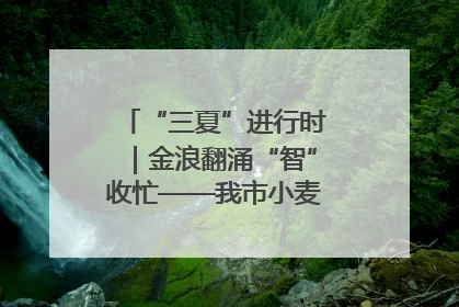 “三夏”进行时｜金浪翻涌“智”收忙——我市小麦开镰收割见闻