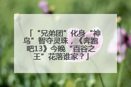 “兄弟团”化身“神鸟”智夺灵珠，《奔跑吧13》今晚“百谷之王”花落谁家？