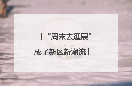“周末去逛展”成了新区新潮流