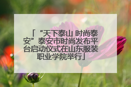 “天下泰山 时尚泰安”泰安市时尚发布平台启动仪式在山东服装职业学院举行