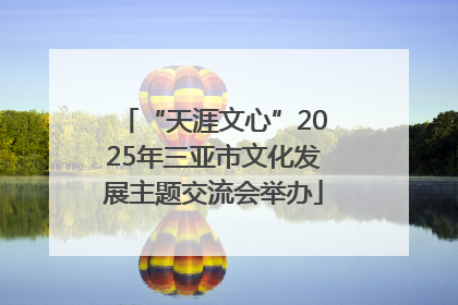 “天涯文心”2025年三亚市文化发展主题交流会举办