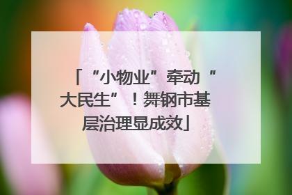 “小物业”牵动“大民生”！舞钢市基层治理显成效
