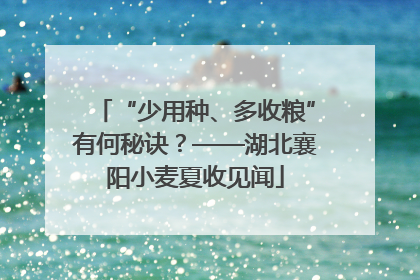 “少用种、多收粮”有何秘诀？——湖北襄阳小麦夏收见闻