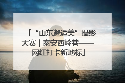 “山东邂逅美”摄影大赛｜泰安西岭巷——网红打卡新地标