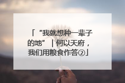 “我就想种一辈子的地”｜何以天府，我们用粮食作答②