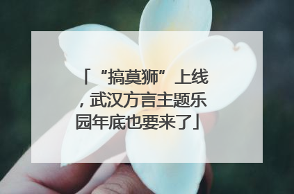 “搞莫狮”上线，武汉方言主题乐园年底也要来了