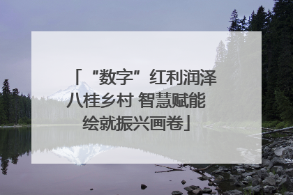 “数字”红利润泽八桂乡村 智慧赋能绘就振兴画卷