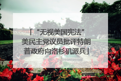 “无视美国宪法” 美民主党议员批评特朗普政府向洛杉矶派兵