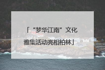“梦华江南”文化雅集活动亮相柏林