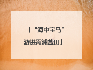 “海中宝马”游进霞浦盐田