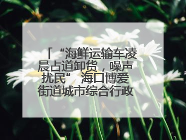 “海鲜运输车凌晨占道卸货，噪声扰民” 海口博爱街道城市综合行政执法中队：将联合交警加强长堤路一带巡逻