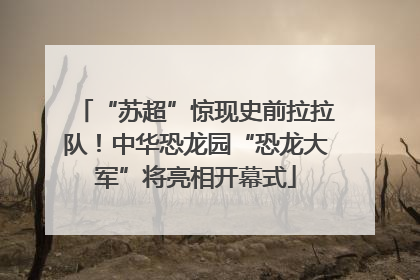 “苏超”惊现史前拉拉队！中华恐龙园“恐龙大军”将亮相开幕式