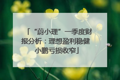 “蔚小理”一季度财报分析：理想盈利稳健 小鹏亏损收窄