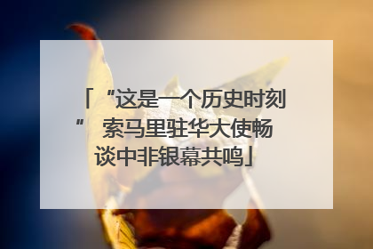 “这是一个历史时刻” 索马里驻华大使畅谈中非银幕共鸣