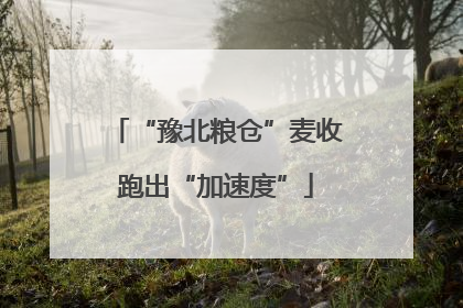 “豫北粮仓”麦收跑出“加速度”