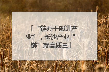 “链办干部讲产业”，长沙产业“链”就高质量