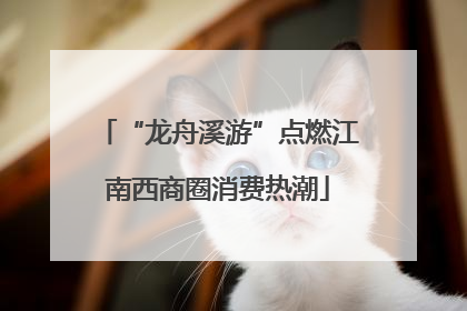 “龙舟溪游”点燃江南西商圈消费热潮