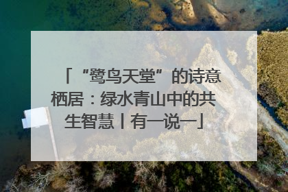 “鹭鸟天堂”的诗意栖居：绿水青山中的共生智慧丨有一说一