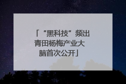 “黑科技”频出 青田杨梅产业大脑首次公开