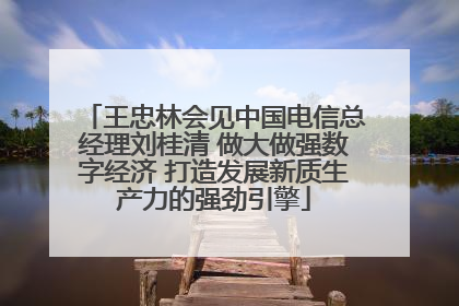 王忠林会见中国电信总经理刘桂清 做大做强数字经济 打造发展新质生产力的强劲引擎
