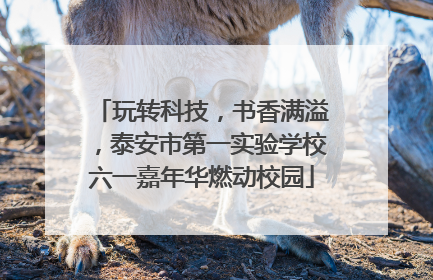 玩转科技，书香满溢，泰安市第一实验学校六一嘉年华燃动校园