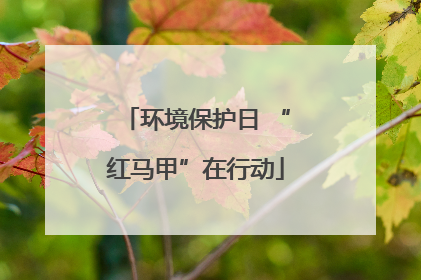 环境保护日 “红马甲”在行动