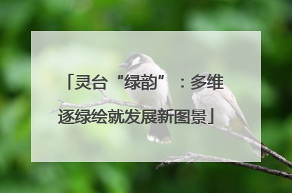 灵台“绿韵”：多维逐绿绘就发展新图景