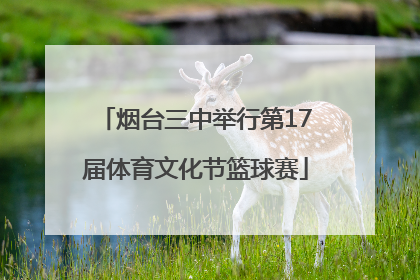 烟台三中举行第17届体育文化节篮球赛