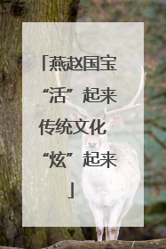 燕赵国宝“活”起来 传统文化“炫”起来