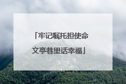 牢记嘱托担使命 文亭巷里话幸福