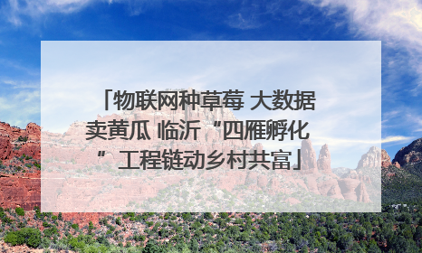 物联网种草莓 大数据卖黄瓜 临沂“四雁孵化”工程链动乡村共富