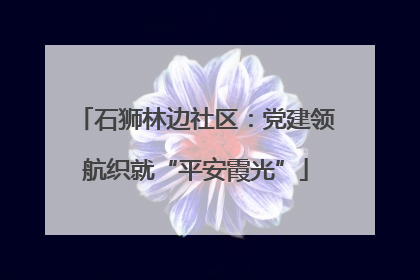 石狮林边社区：党建领航织就“平安霞光”