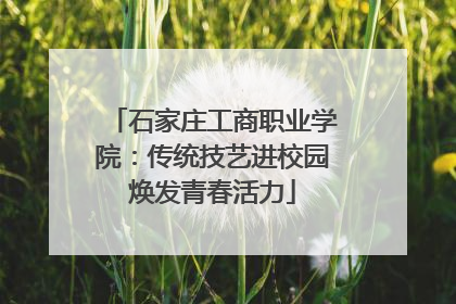 石家庄工商职业学院：传统技艺进校园焕发青春活力