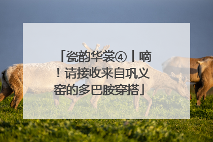 瓷韵华裳④丨嘀！请接收来自巩义窑的多巴胺穿搭